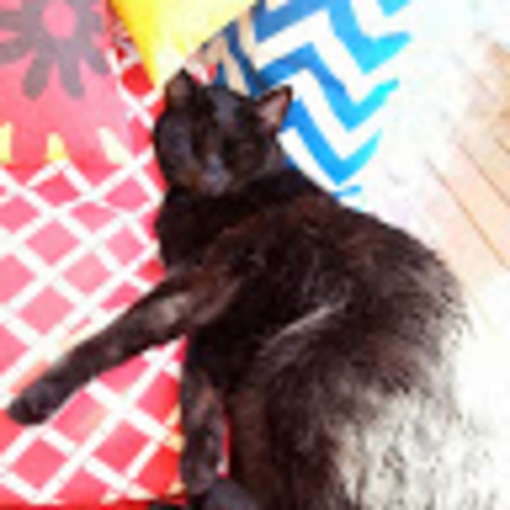 Meet your Posher, Maren